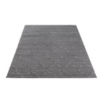 Kép 2/9 - Elsher szürke 160x220-as ápolt szőnyeg