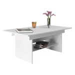 Kép 4/8 - Elegáns kerti asztal 120/160 cm