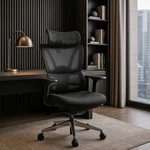 Kép 2/16 - Ergonomikus DELSIN forgószék