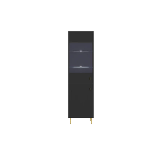 Piano vitrin REG2D fekete
