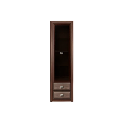 KOEN 012 vitrin REG1W2S wenge maggia/sthroks