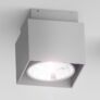 Kép 5/5 - EX 111 mennyezeti lámpa szögletes ezüstszürke  230V/12V G53 50W