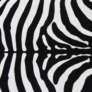 Kép 9/10 - Szőnyeg, minta zebra, 200x250, ARWEN